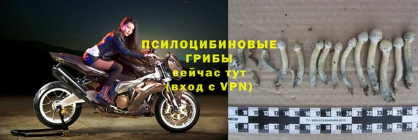 мяу мяу мука Липки