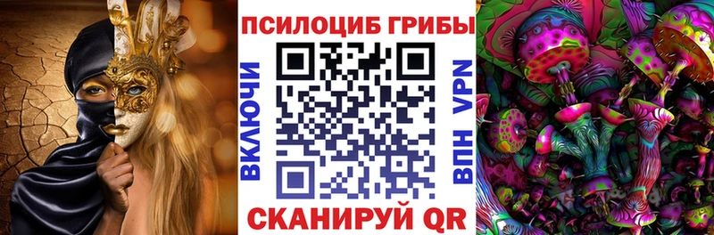 Псилоцибиновые грибы мицелий  Купить  Трубчевск 